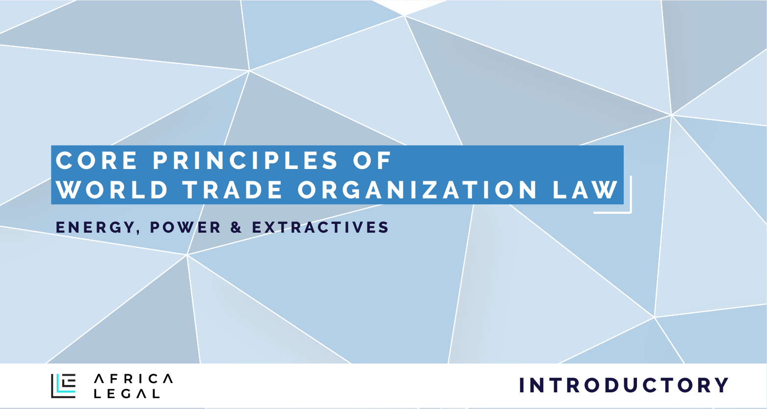 Core Principles of World Trade Organization Law EPE201
